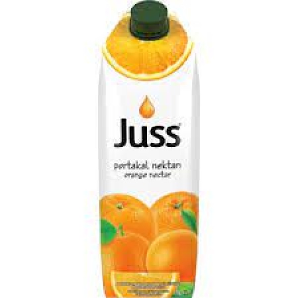 Juss Elma Nektarı 1 Lt x 12