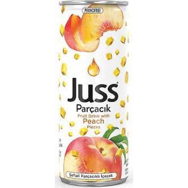 Juss Parçacıklı Şeftali 250 Ml x 12