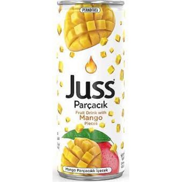 Juss Parçacıklı Ananas 250 Ml x 12