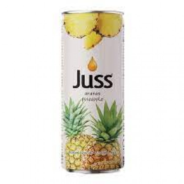 Juss Ananas Nektarı 250 Ml x 12