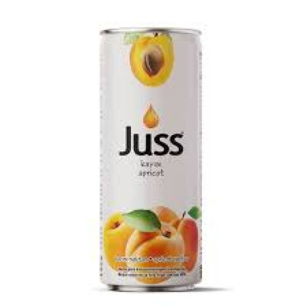 Juss Şeftali Nektarı 250 Ml x 12