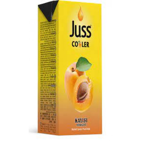Juss Cooler Kayısı Meyve Suyu 200 ML x 27