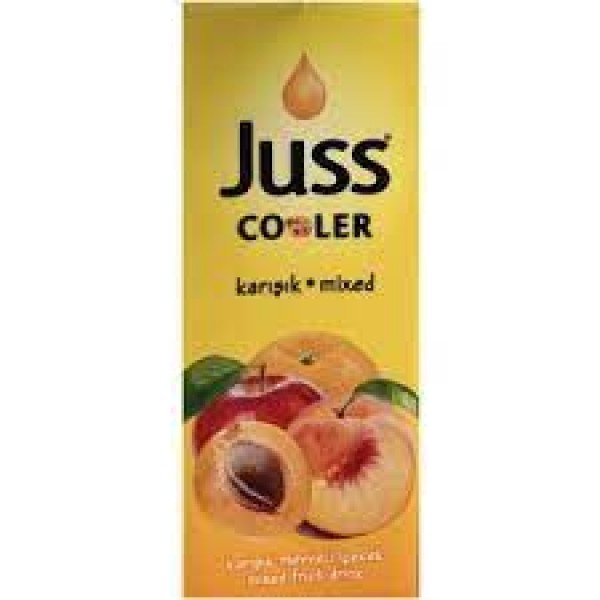Juss Cooler Şeftali Meyve Suyu 200 ML x 27