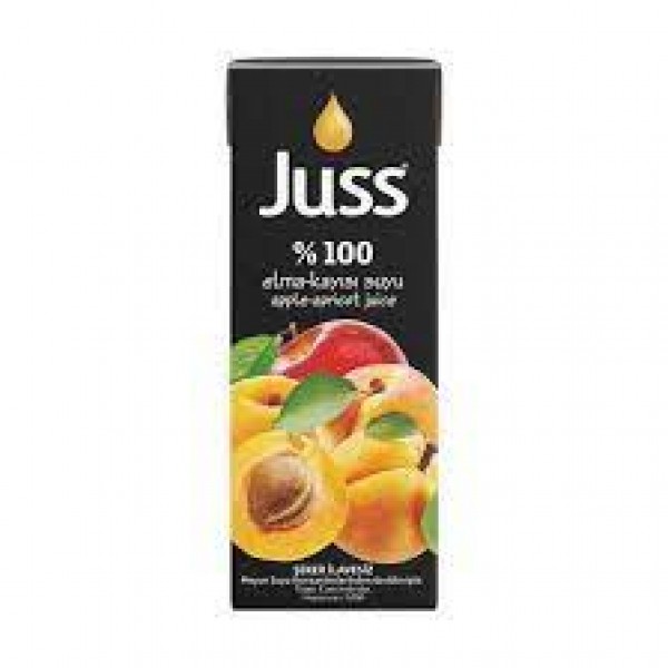 Juss Kayısı Meyve Suyu 200 ML x 27