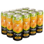 Cappy Meyve Suyu Kayısı Aromalı 330 ml X 12 Adet