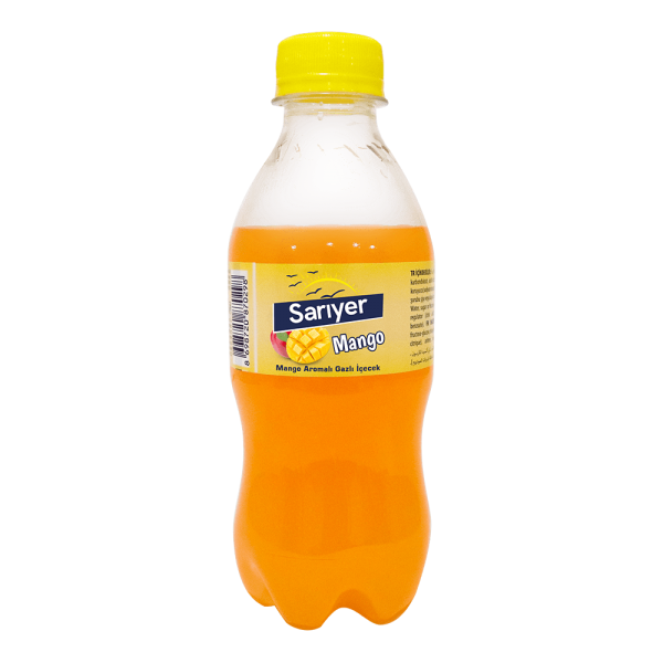 Sarıyer Mango Pet 250 Ml X 12 Adet
